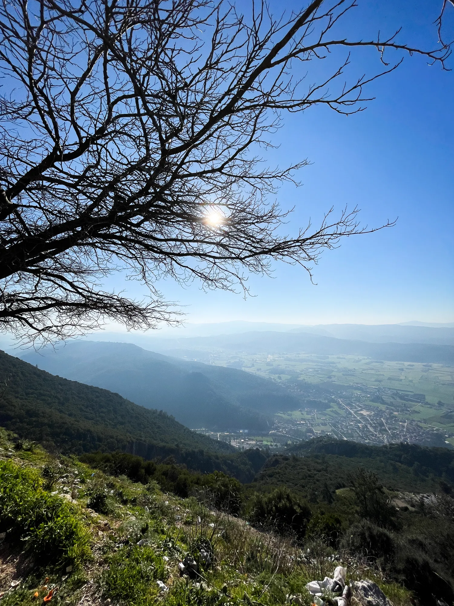 Muğla yolu