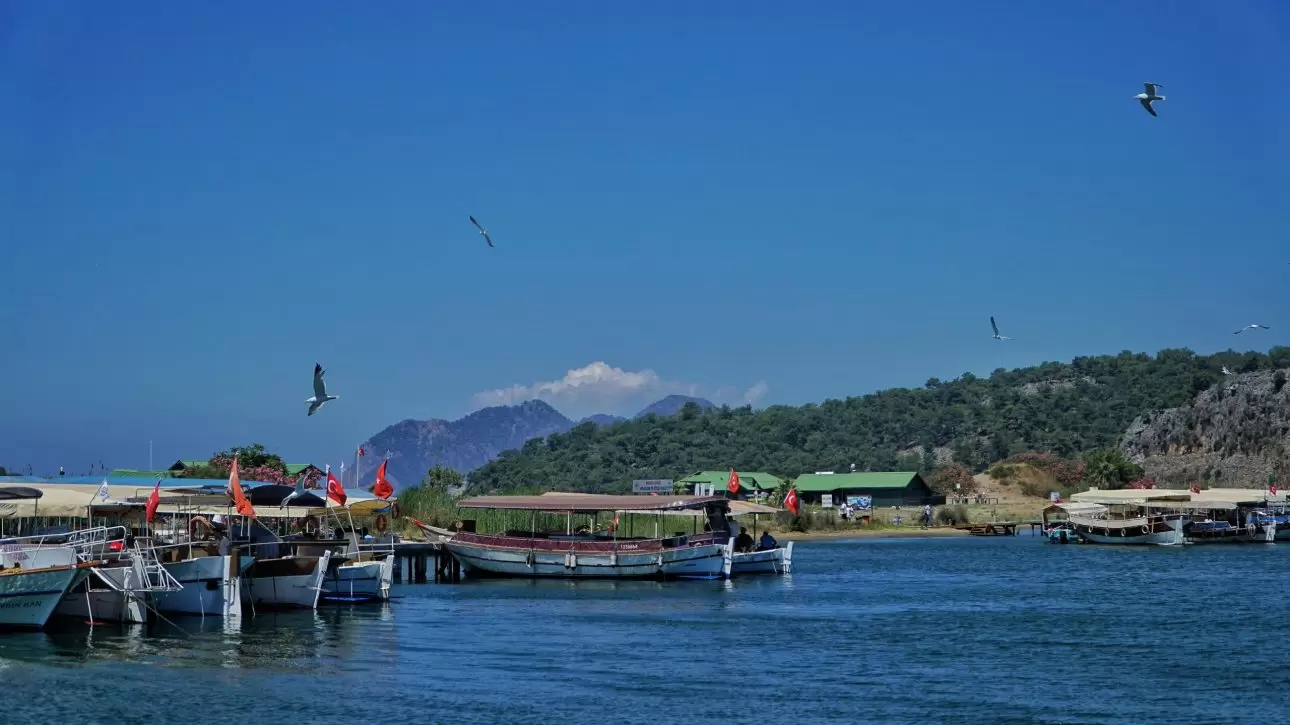 IMG_20190612_205130_780